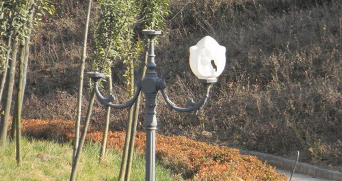 城區公共設施破壞嚴重市民應起維護責任