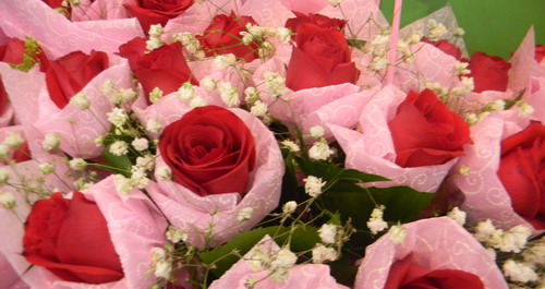 “情人節”將至 玫瑰花生意火爆