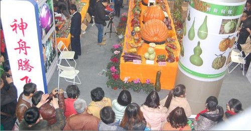 商洛市農科深入農高會現場考察參訪