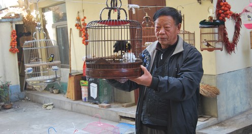 商洛一鷯哥幫賣烤紅薯 另類促銷引圍觀