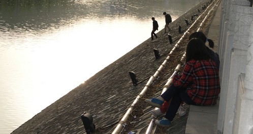 天氣轉暖丹江河邊納涼要注意安全