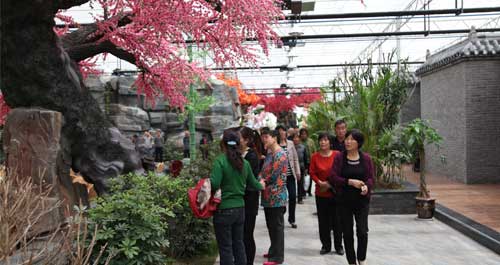 預計總投資2.4億元的佳騫現(xiàn)代農業(yè)示范園4月30日開園