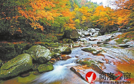 牛背梁滿山紅遍，層林盡染。