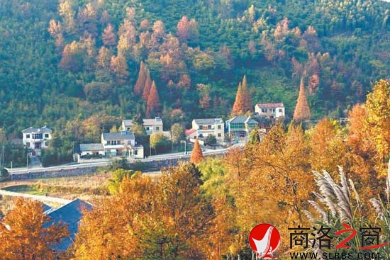 秦嶺深處小山村