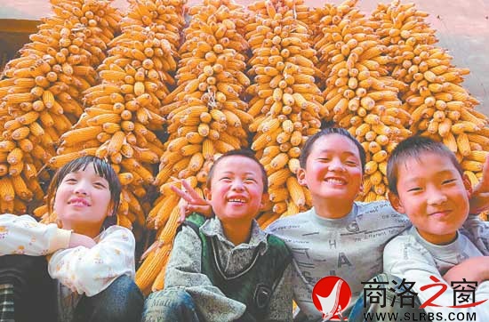 山鄉豐收圖也是一景