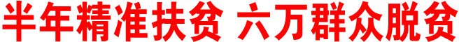 半年精準扶貧 六萬群眾脫貧