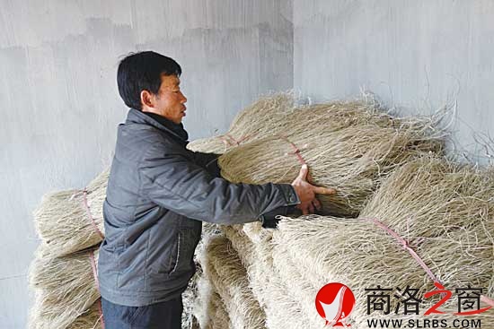 陳社倉將粉條捆扎擺好