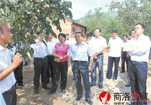 市上領導在商州區沙河子鎮核桃大戶李奇的核桃園調研。大家對核桃產業前所未有的關注以及全市核桃產業大會的召開,吹響了全市核桃產業進一步大發展的集結號。
