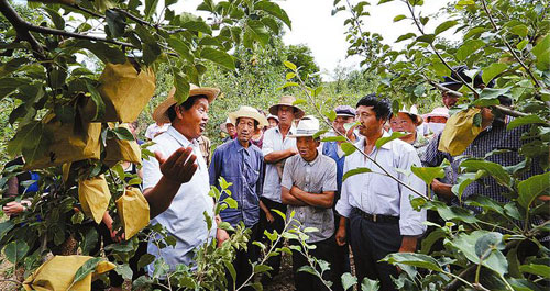 我市農技人員紛紛來到貧困村開辦“田間課堂”傳授科學種植和病害防治知識