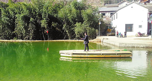 太子坪形成了“陜南水韻、養生慢谷”式生態文明旅游新村