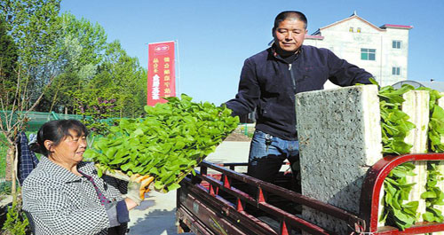 煙農在洛南烤煙育苗基地領取煙苗