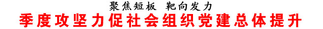 季度攻堅力促社會組織黨建總體提升