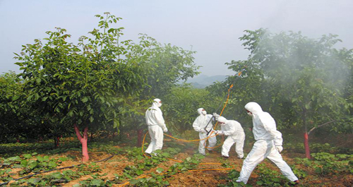 商洛市召開核桃病蟲害防控技術培訓會