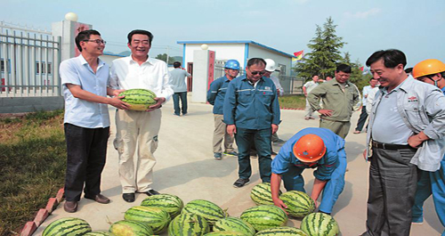 炎炎夏日送清涼