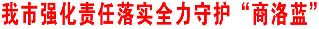 我市強化責任落實全力守護“商洛藍”