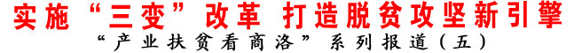 實施“三變”改革 打造脫貧攻堅新引擎