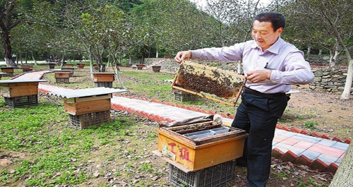 丹鳳積極探索“支部+‘三變’+集體經(jīng)濟+貧困戶”模式