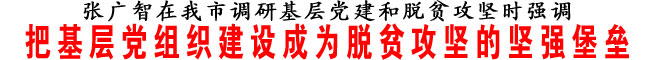 把基層黨組織建設成為脫貧攻堅的堅強堡壘