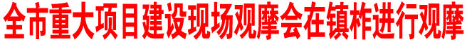 商洛市重大項目建設現場觀摩會在鎮柞進行觀摩