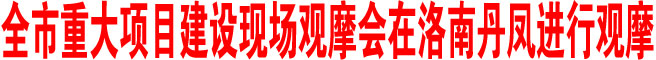 商洛市重大項目建設現場觀摩會在洛南丹鳳進行觀摩