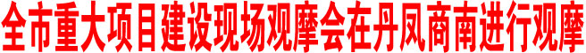 商洛市重大項目建設現場觀摩會在丹鳳商南進行觀摩