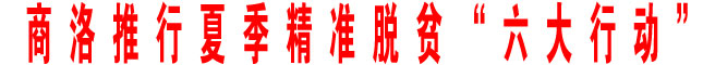 商洛推行夏季精準脫貧“六大行動”