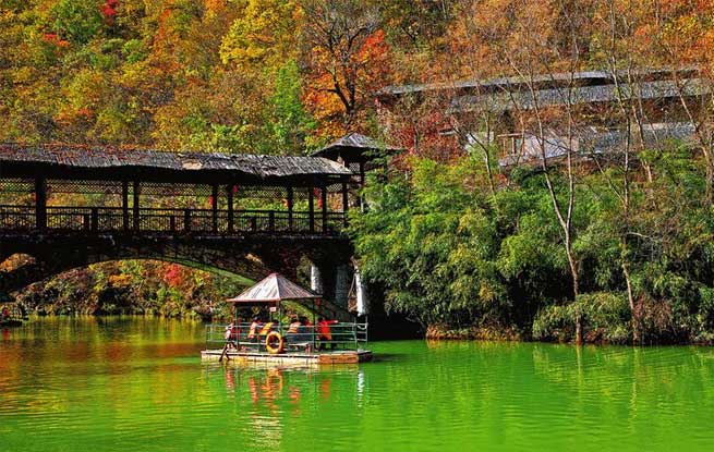 看紅葉靜美 品秋之韻味