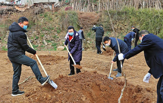 市領導參加義務植樹活動