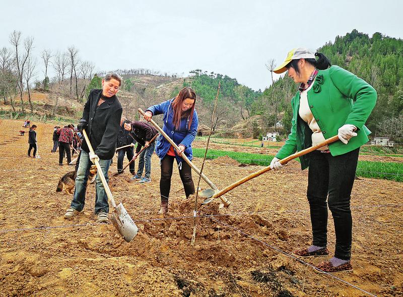 發(fā)展脫貧產(chǎn)業(yè)促增收