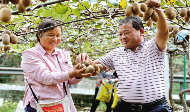 產業(yè)特色鮮明 增收底氣更足