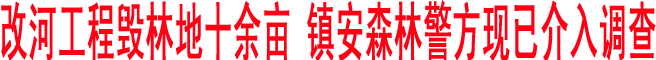 改河工程毀林地十余畝 鎮安森林警方現已介入調查