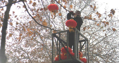 燈籠點綴街樹枝  協(xié)警環(huán)衛(wèi)齊幫忙