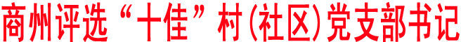 商州評選“十佳村(社區)黨支部書記”