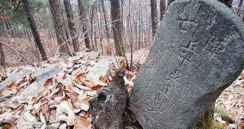 柞水發現清代陣亡官兵集體墓 文物部門稱罕見