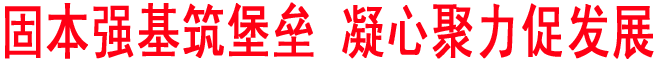 固本強基筑堡壘 凝心聚力促發(fā)展