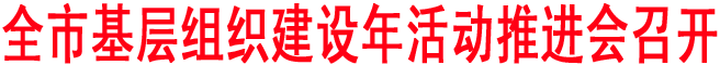 全市基層組織建設年活動推進會召開