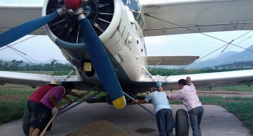 全市飛播造林達百萬畝