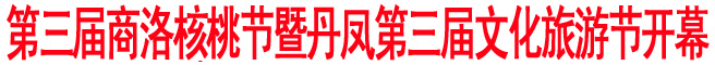 第三屆商洛核桃節暨丹鳳第三屆文化旅游節開幕