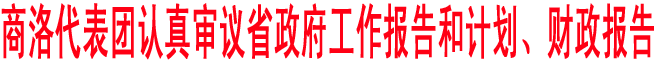 商洛代表團認真審議省政府工作報告和計劃、財政報告