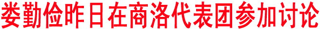 婁勤儉昨日在商洛代表團參加討論