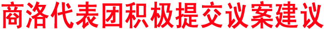 商洛代表團積極提交議案建議