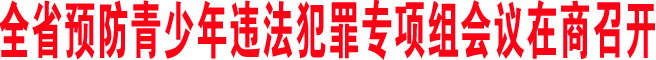 全省預(yù)防青少年違法犯罪專項(xiàng)組會議在商召開