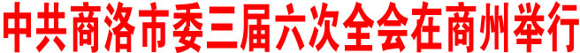 中共商洛市委三屆六次全會在商州舉行