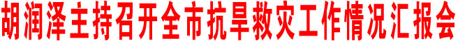 胡潤澤主持召開全市抗旱救災工作情況匯報會