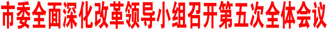 商洛市委全面深化改革領導小組召開第五次全體會議
