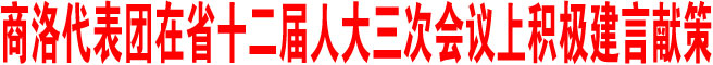 商洛代表團積極建言獻策