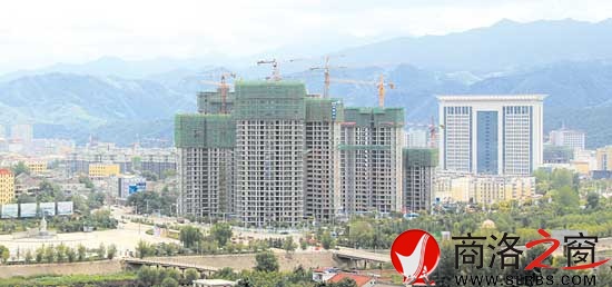 市區西片長高增綠