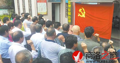 商洛日報黨總支組織黨員重溫入黨誓詞