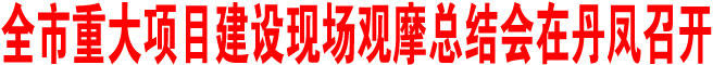 全市重大項目建設現場觀摩總結會在丹鳳召開