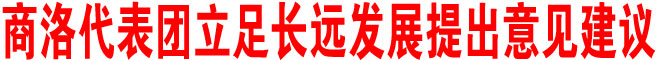 商洛代表團(tuán)立足長(zhǎng)遠(yuǎn)發(fā)展提出意見(jiàn)建議